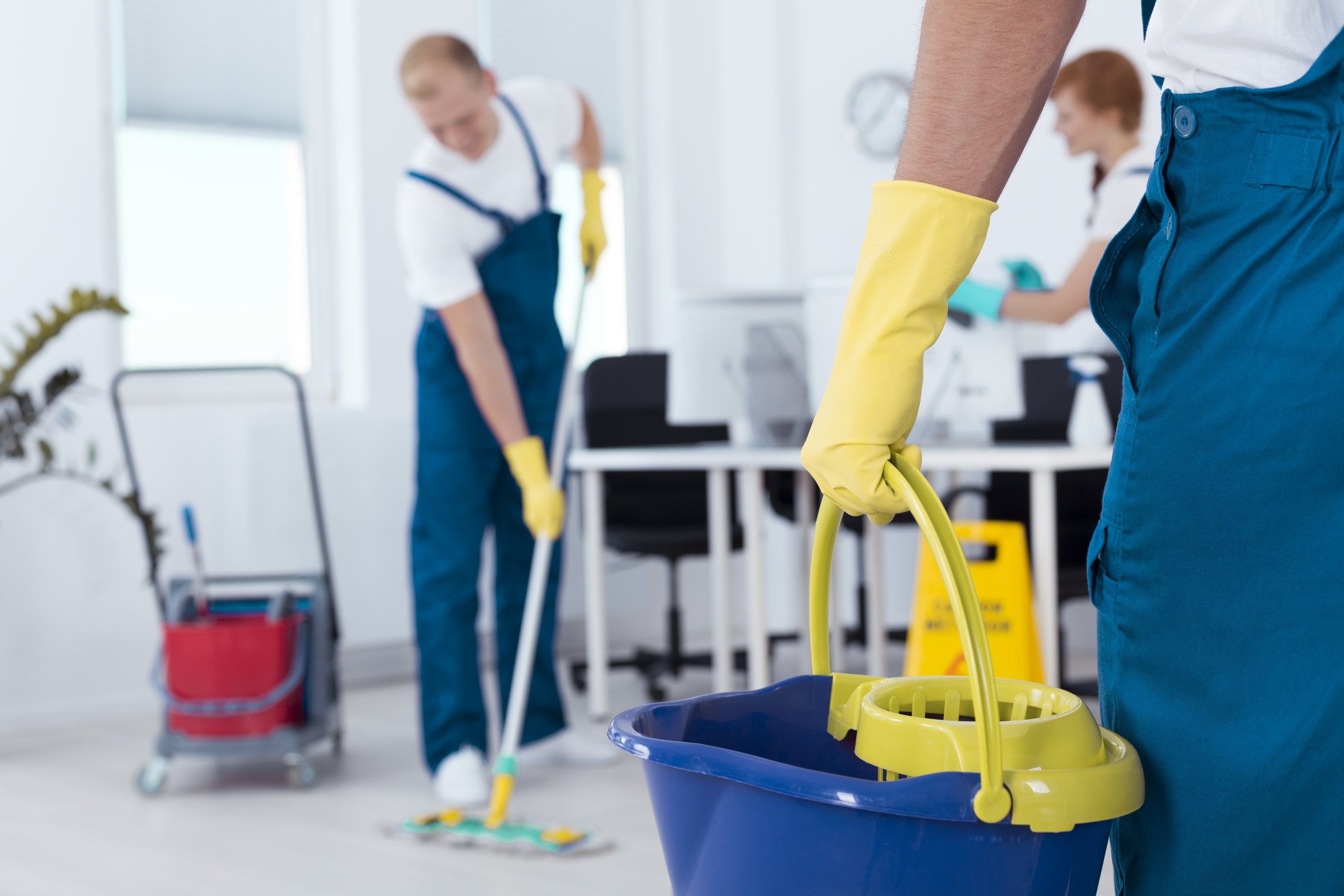 Office Cleaning Crew